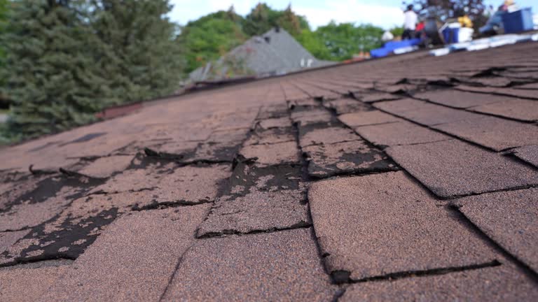 Best Chimney Flashing Repair  in Del Mar, CA